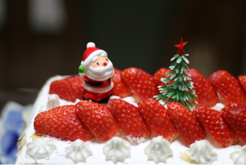 クリスマスケーキ用の飾りは100均で お店ごとに知りたい オンナの参考書